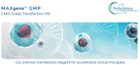 MAXgene GMP转染试剂