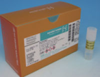 5-Bromo-4-chloro-3-indolyl-β-D-galactoside Solution(20 mg/ml)