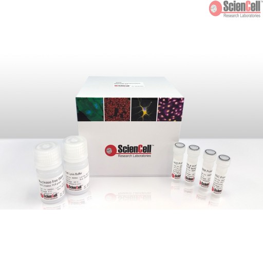 ScienCell HeLa细胞污染检测试剂盒