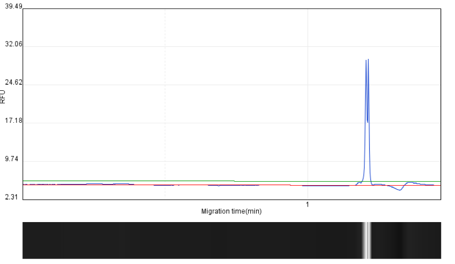 毛细管电泳技术在引物质控方向的应用