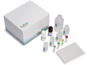 寨卡病毒IgM检测试剂盒