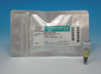 1kbp DNA Ladder One (Ready-to-use)