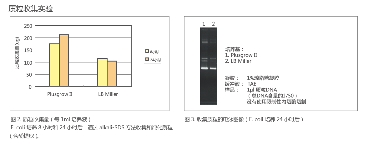 细菌培养基 ：Plusgrow II