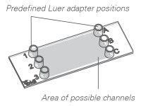 ibidi订制流体载玻片和通道