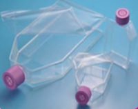 细胞计数试剂 :Cell Count Reagent SF, based on WST-8