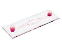 德国ibidi µ-Slide Y通道培养载玻片－80126 80121