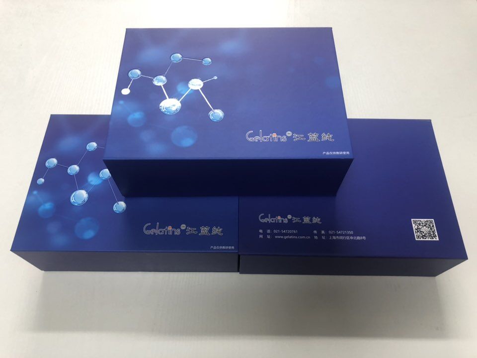 大鼠总胆固醇(TC)ELISA kit液体包装