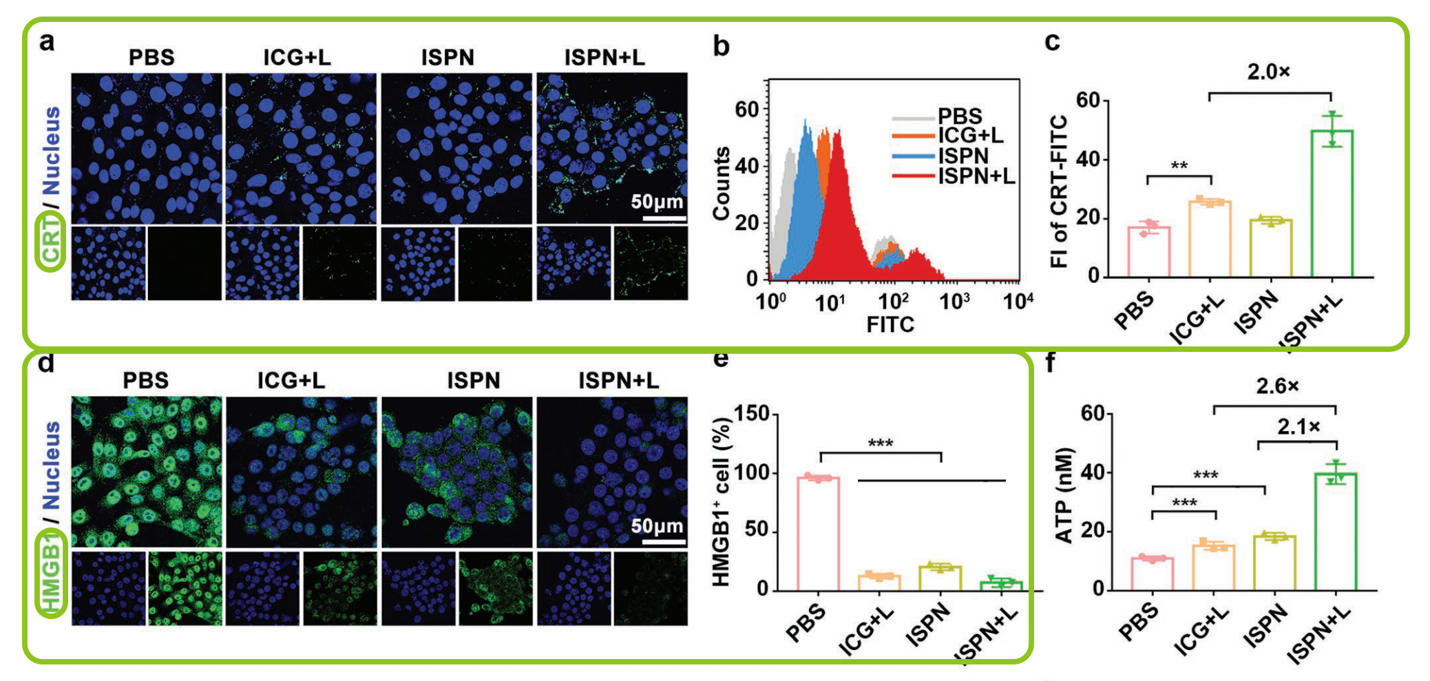 文献解读 | 三阴性乳腺癌免疫治疗新曙光