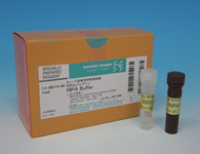 细胞裂解液 : RIPA Buffer