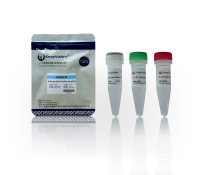 qRT-PCR专用逆转录预混液：PreScript III RT ProMix for qPCR