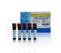 染料法荧光定量PCR试剂：2× Robust SYBR Green qPCR ProMix with High ROX