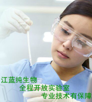 供应人干扰素-α(IFN-α) ELISA kit实验操作图