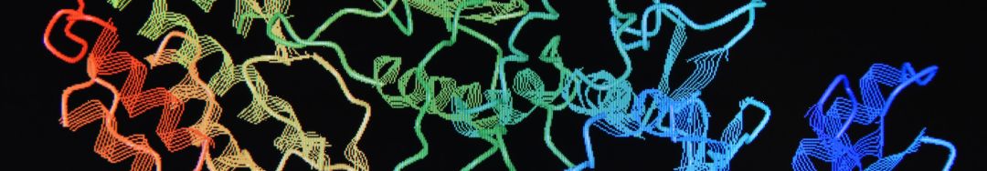 MMPSense 探针促销活动 — 活体炎症微环境监测利器