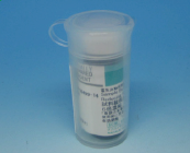 SDS-PAGE 样品缓冲液: Sample Buffer Solution for SDS-PAGE