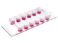 德国ibidi µ-Slide VI 六通道培养载玻片-80666 80662 80661 80606 80602 80604 80601 80626 80621 80608 80609