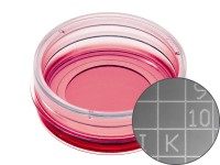 ibidi细胞定位格子培养皿81168