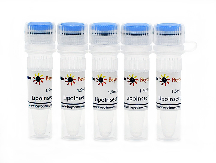 LipoInsect™转染试剂