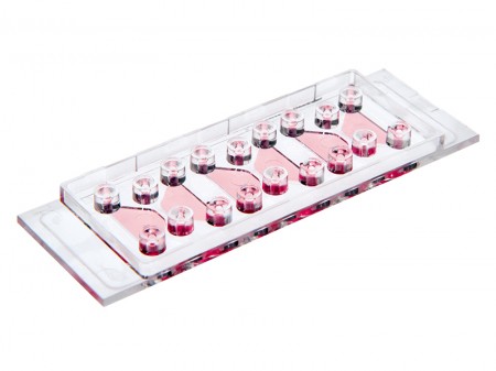 德国ibidi µ-Slide 细胞趋化载玻片－80326 80322 80328