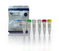 cDNA第一链合成试剂盒:First Strand cDNA Synthesis Kit (+gDNA clearer)