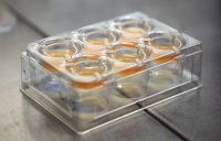 T-Skin 体外人造全层皮肤模型检测盒