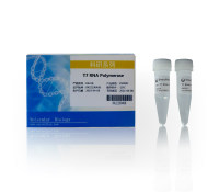 T7快速高效RNA合成:T7 RNA Polymerase