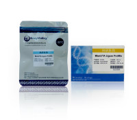 平末端/TA快速连接预混液：Blunt/TA Ligase ProMix