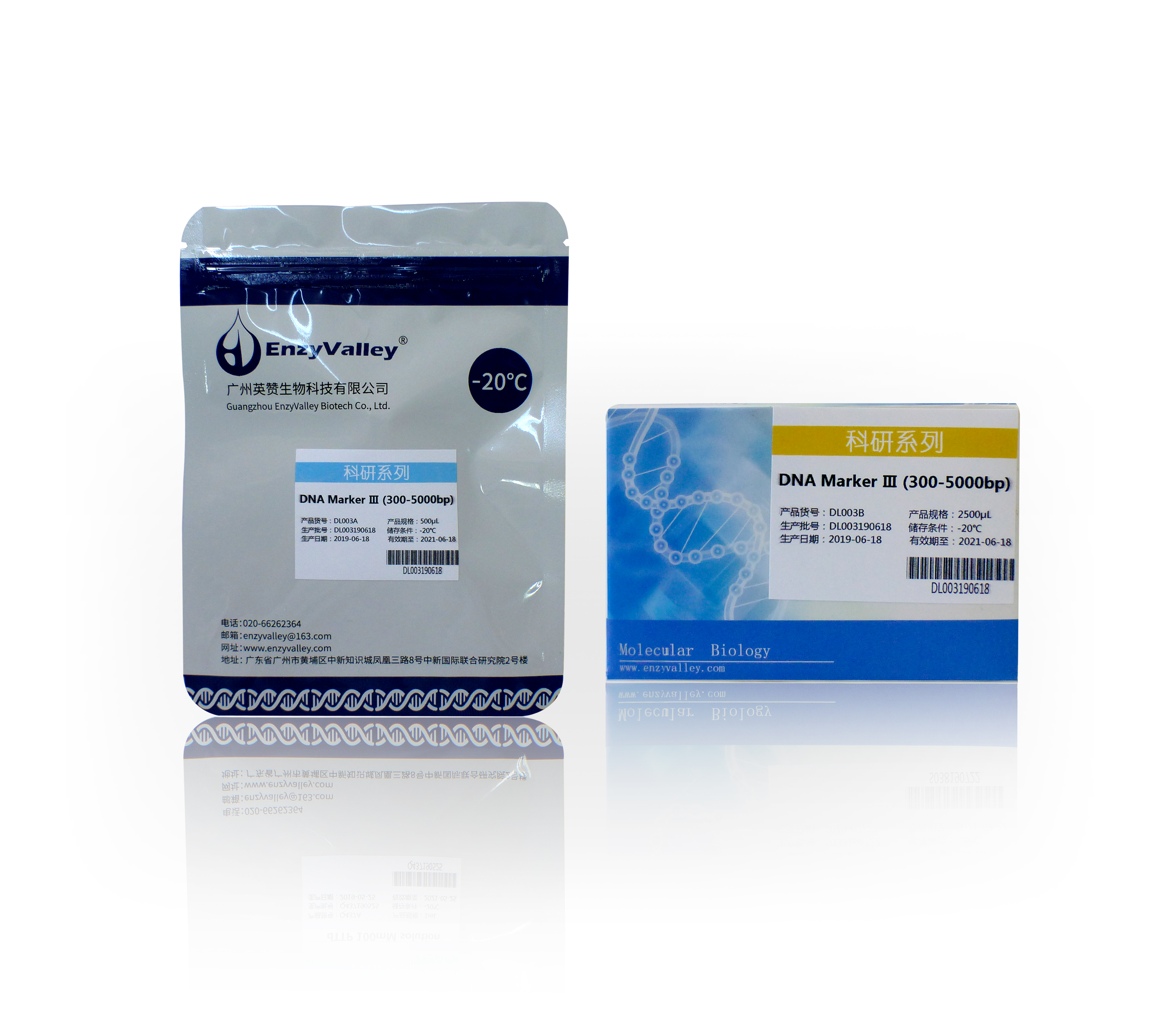 DNA Marker Ⅲ (300-5000bp) 