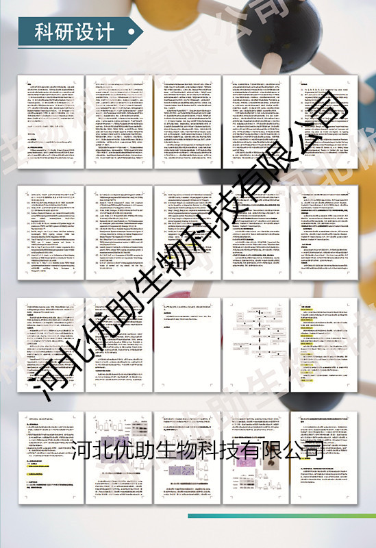 优助标书课题展示