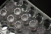 SkinEthic RHE 体外人造表皮模型检测盒