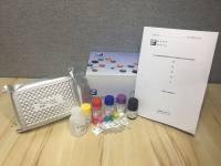 Porcine IgG ELISA Kit