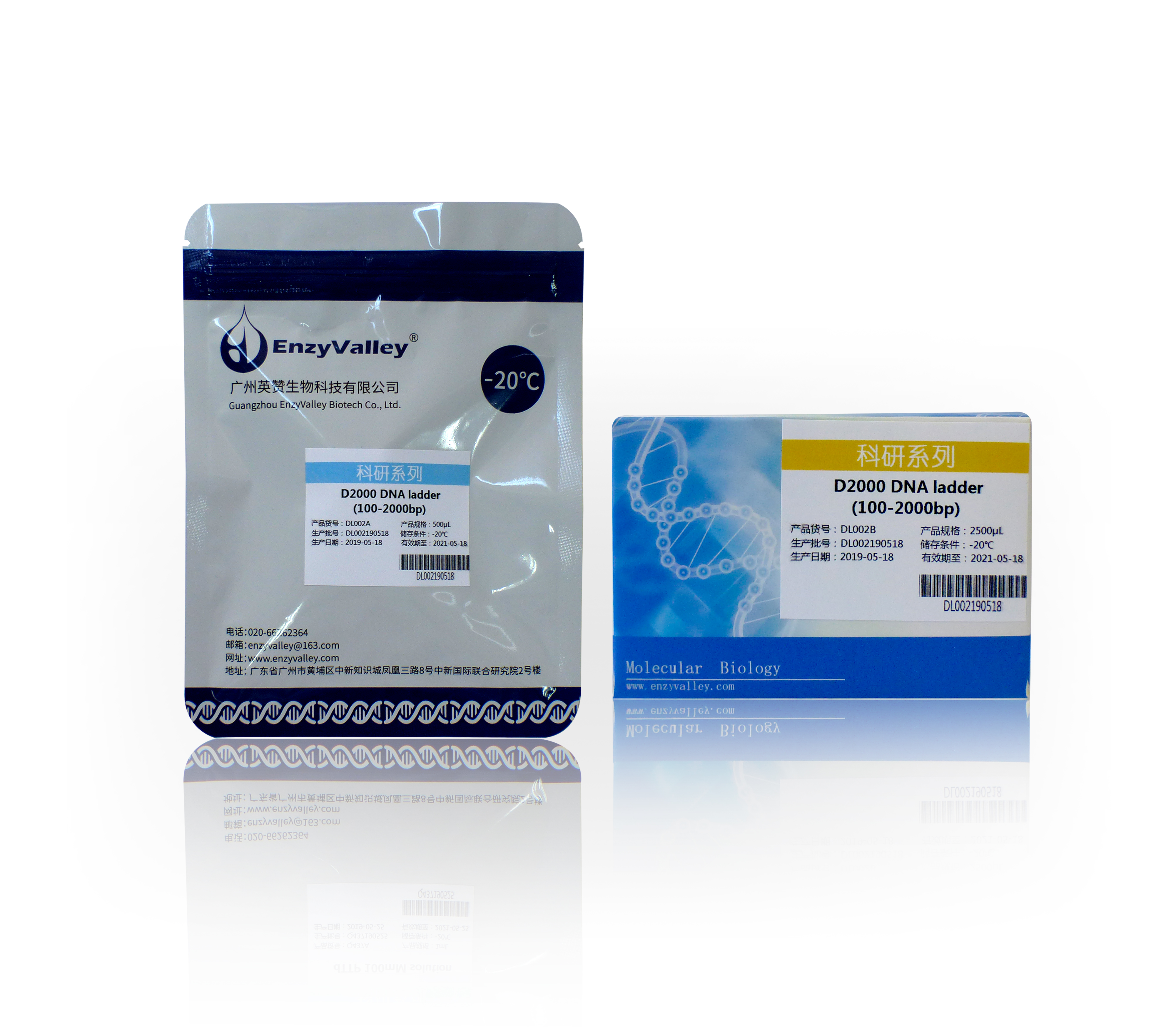 D2000 DNA ladder(100-2000bp) 