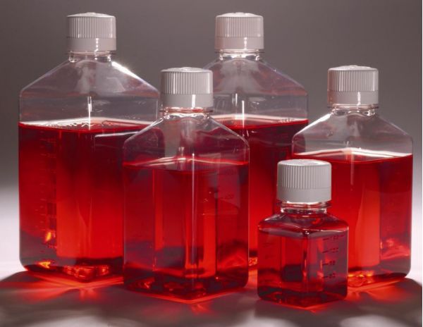 人类丙型肝炎病毒重组抗原用法及注意事项