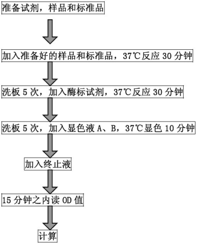 技术资料图片3