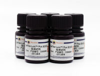 CellTiter-Lumi™ Plus发光法细胞活力检测试剂盒