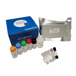 Human TNF-α ELISA kit(人肿瘤坏死因子-α)产品图