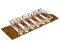 德国ibidi 六通道可粘载玻片 80608