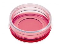 德国ibidi µ-Dish 35 mm, high ESS 弹性支撑表面-81291 81391 81191 81199