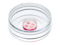 ibidi微4孔插件80406 80409