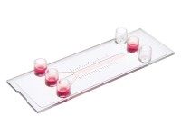 德国ibidi µ-Slide 三合一通道培养载玻片－80316 80311