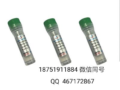 [Met5]-Enkephalin/[MET5]脑啡肽/刘经理18751911884微信同号