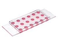 ibidi18孔培养载玻片-扁平版81826