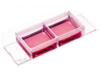 ibidi2孔腔室载玻片80281 80282 80283 80284