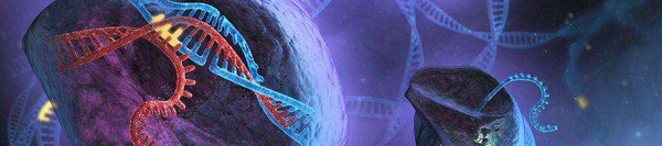 眼见为实：视频原子力显微镜显示实时CRISPR基因编辑