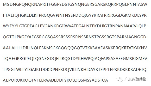 无偿提供2019-nCoV N蛋白表达菌株