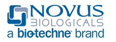 Novus试剂目录 2020（10）
