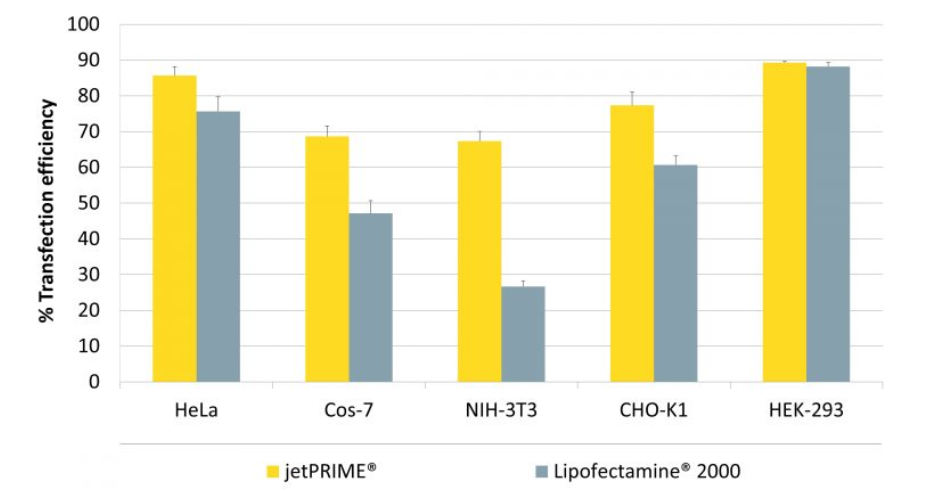 Polyplus 转染试剂   
