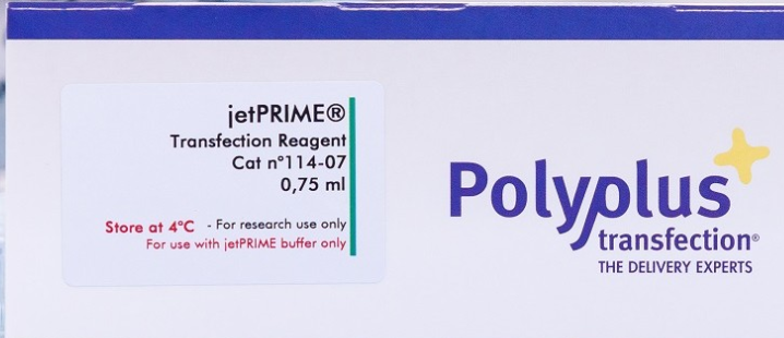 Polyplus 转染试剂   