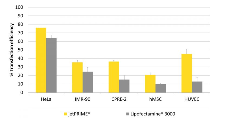 Polyplus 转染试剂   
