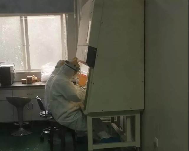 微信图片_20200204154900.jpg