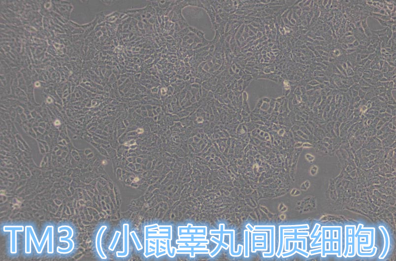 产品细节图片1